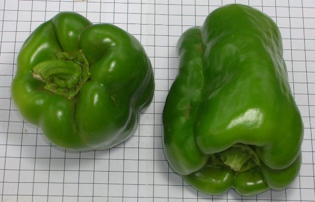 Lamuyo 3/4 type pepper 715-043 p1